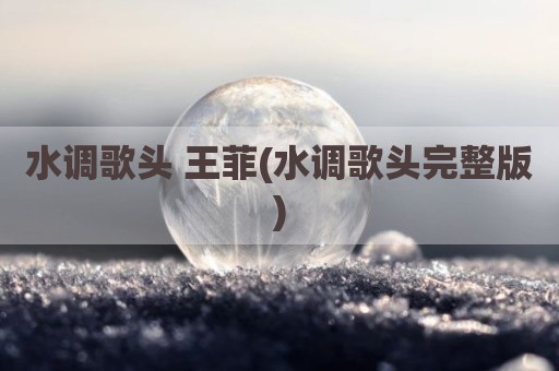 水调歌头 王菲(水调歌头完整版)