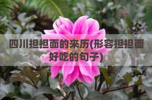 四川担担面的来历(形容担担面好吃的句子)