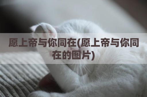愿上帝与你同在(愿上帝与你同在的图片)