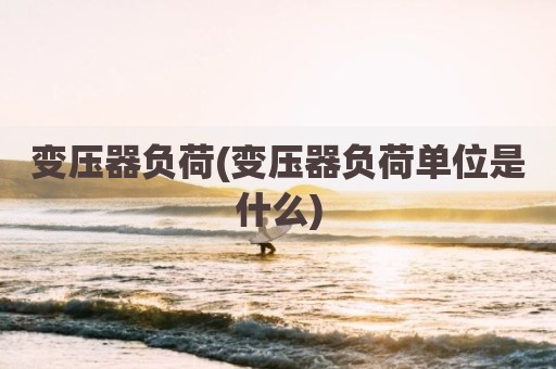 变压器负荷(变压器负荷单位是什么)
