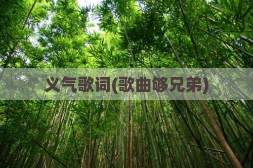义气歌词(歌曲够兄弟)