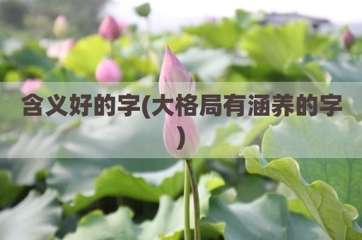 含义好的字(大格局有涵养的字)