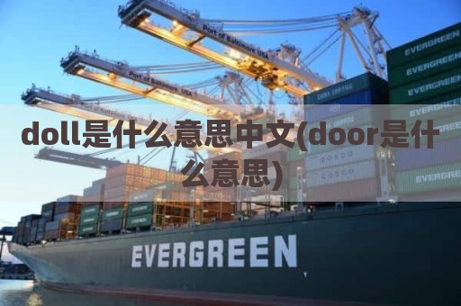 doll是什么意思中文(door是什么意思)