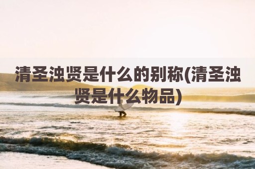 清圣浊贤是什么的别称(清圣浊贤是什么物品)