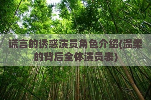 谎言的诱惑演员角色介绍(温柔的背后全体演员表)
