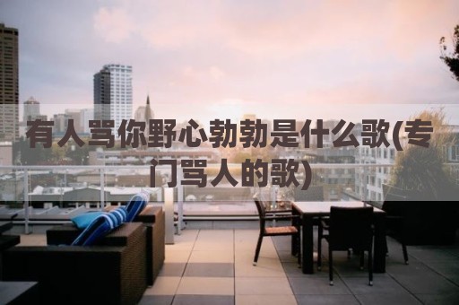 有人骂你野心勃勃是什么歌(专门骂人的歌)