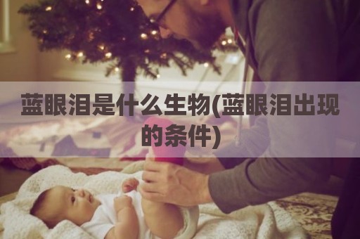 蓝眼泪是什么生物(蓝眼泪出现的条件)