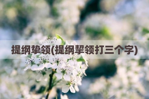 提纲挚领(提纲挈领打三个字)