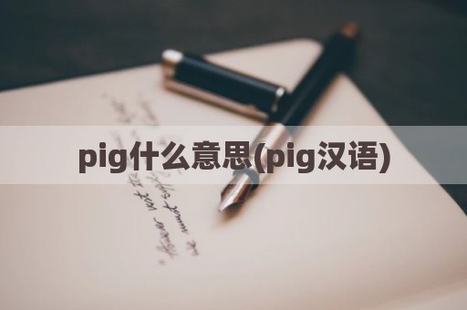 pig什么意思(pig汉语)