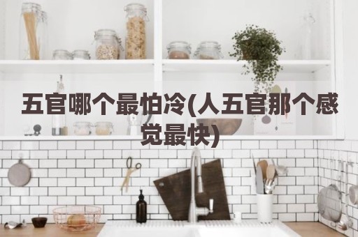 五官哪个最怕冷(人五官那个感觉最快)