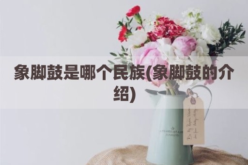 象脚鼓是哪个民族(象脚鼓的介绍)