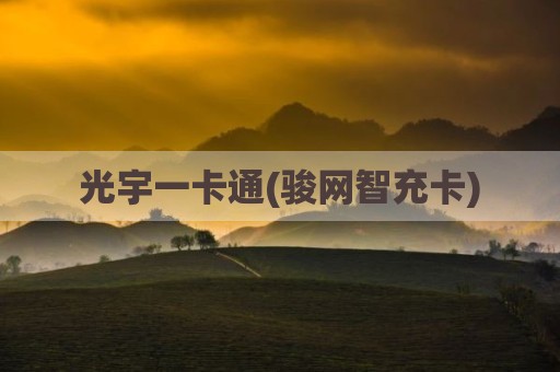 光宇一卡通(骏网智充卡)