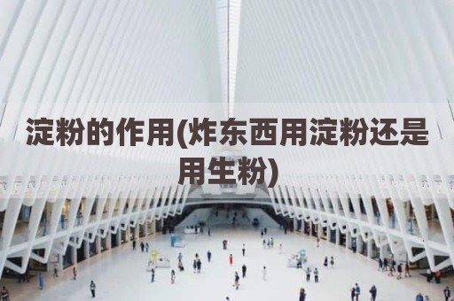 淀粉的作用(炸东西用淀粉还是用生粉)