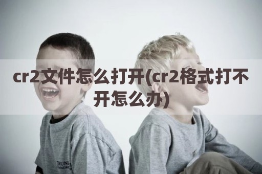 cr2文件怎么打开(cr2格式打不开怎么办)