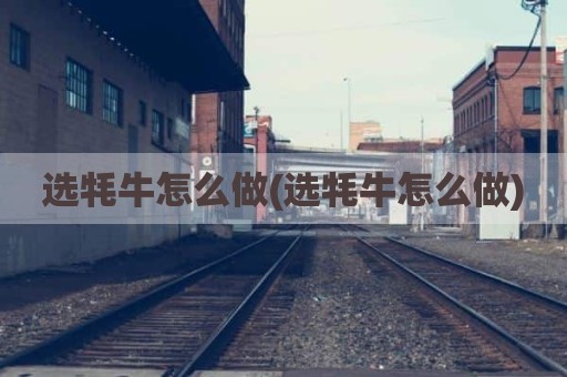 选牦牛怎么做(选牦牛怎么做)