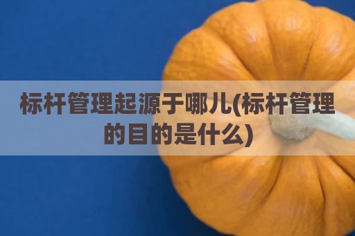 标杆管理起源于哪儿(标杆管理的目的是什么)