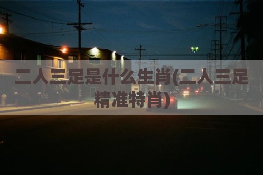 二人三足是什么生肖(二人三足精准特肖)