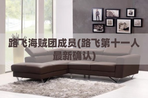 路飞海贼团成员(路飞第十一人最新确认)