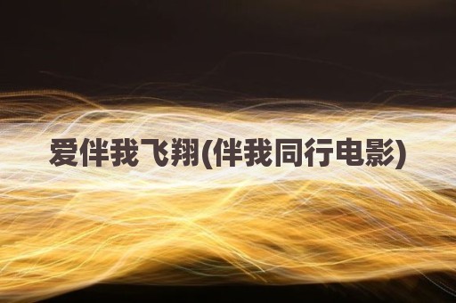 爱伴我飞翔(伴我同行电影)