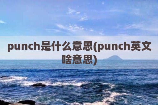 punch是什么意思(punch英文啥意思)