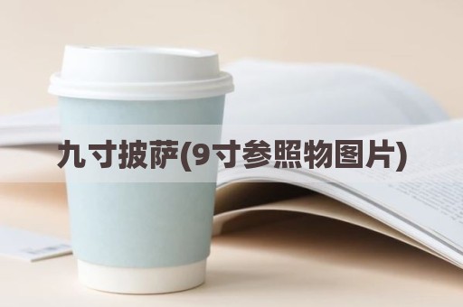 九寸披萨(9寸参照物图片)