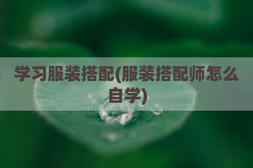学习服装搭配(服装搭配师怎么自学)