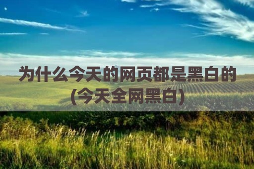 为什么今天的网页都是黑白的(今天全网黑白)