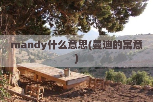 mandy什么意思(曼迪的寓意)