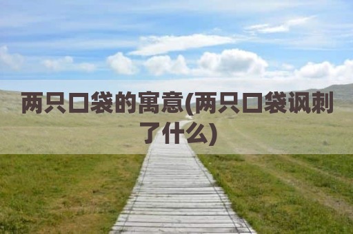 两只口袋的寓意(两只口袋讽刺了什么)
