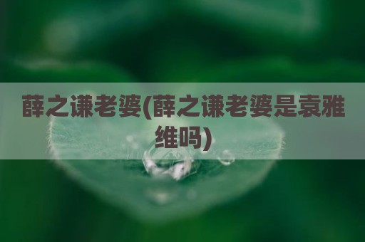 薛之谦老婆(薛之谦老婆是袁雅维吗)