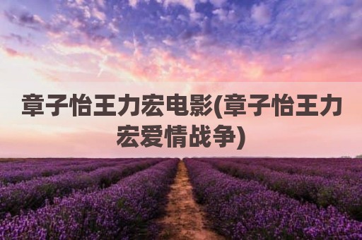 章子怡王力宏电影(章子怡王力宏爱情战争)