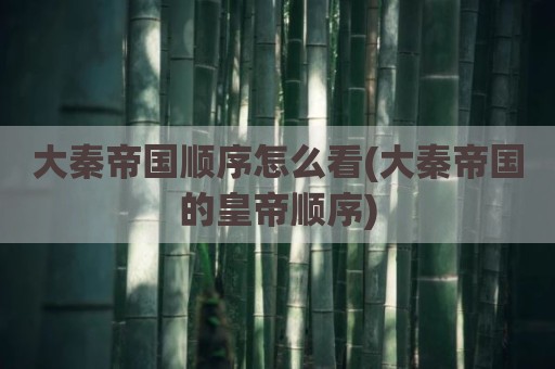 大秦帝国顺序怎么看(大秦帝国的皇帝顺序)