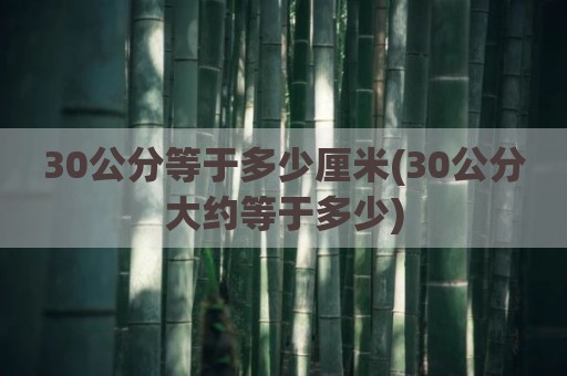30公分等于多少厘米(30公分大约等于多少)