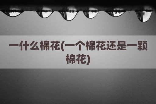 一什么棉花(一个棉花还是一颗棉花)