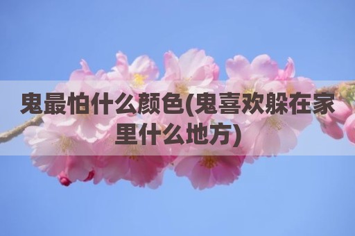 鬼最怕什么颜色(鬼喜欢躲在家里什么地方)