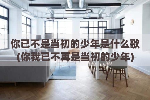 你已不是当初的少年是什么歌(你我已不再是当初的少年)
