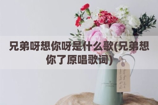 兄弟呀想你呀是什么歌(兄弟想你了原唱歌词)