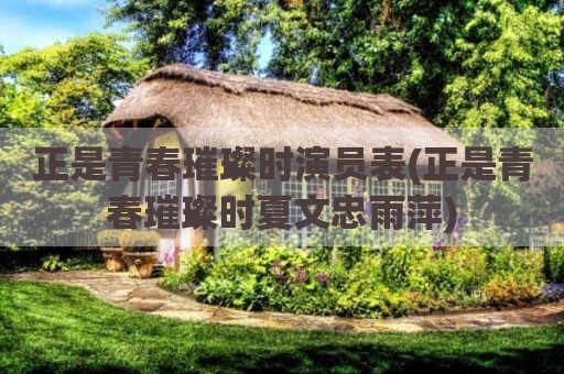正是青春璀璨时演员表(正是青春璀璨时夏文忠雨萍)