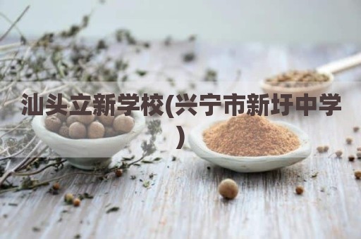 汕头立新学校(兴宁市新圩中学)