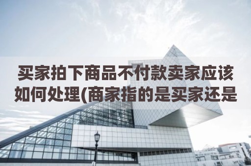 买家拍下商品不付款卖家应该如何处理(商家指的是买家还是卖家)