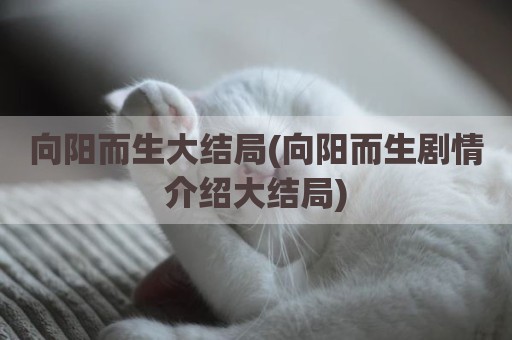 向阳而生大结局(向阳而生剧情介绍大结局)
