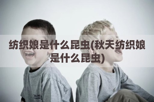 纺织娘是什么昆虫(秋天纺织娘是什么昆虫)