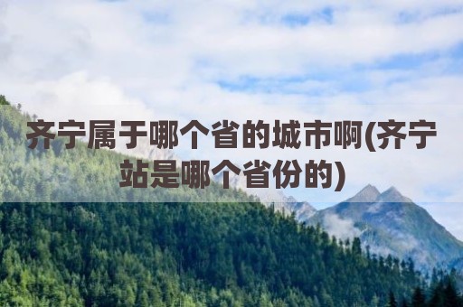 齐宁属于哪个省的城市啊(齐宁站是哪个省份的)