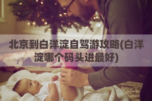 北京到白洋淀自驾游攻略(白洋淀哪个码头进最好)