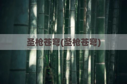 圣枪苍穹(圣枪苍穹)