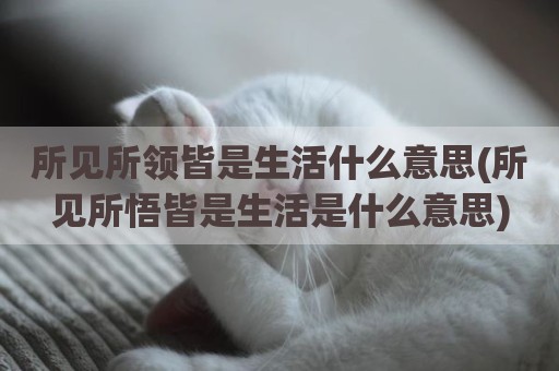 所见所领皆是生活什么意思(所见所悟皆是生活是什么意思)