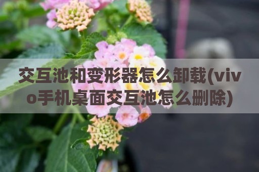 交互池和变形器怎么卸载(vivo手机桌面交互池怎么删除)
