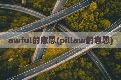 awful的意思(pillaw的意思)