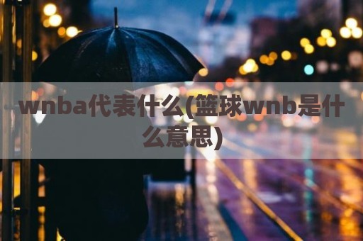 wnba代表什么(篮球wnb是什么意思)