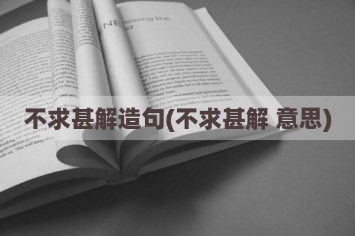 不求甚解造句(不求甚解 意思)